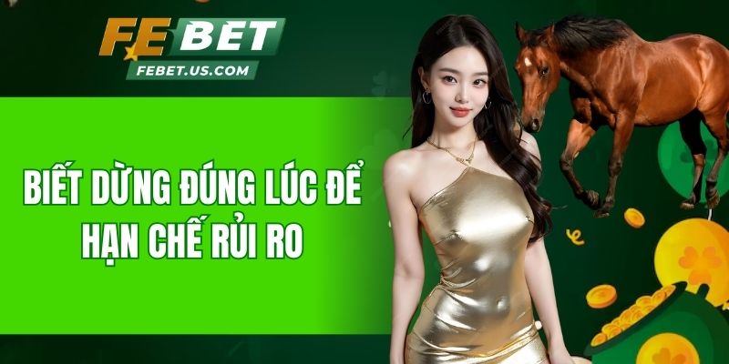 Biết dừng đúng lúc để hạn chế rủi ro