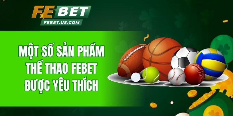 Một số sản phẩm thể thao Febet được yêu thích