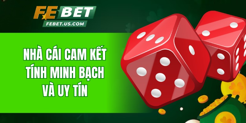 Nhà cái cam kết tính minh bạch và uy tín