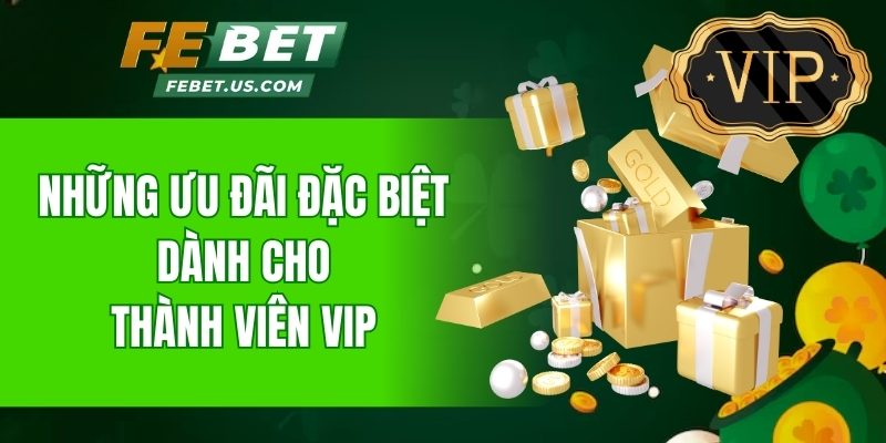 Những ưu đãi đặc biệt dành cho thành viên VIP