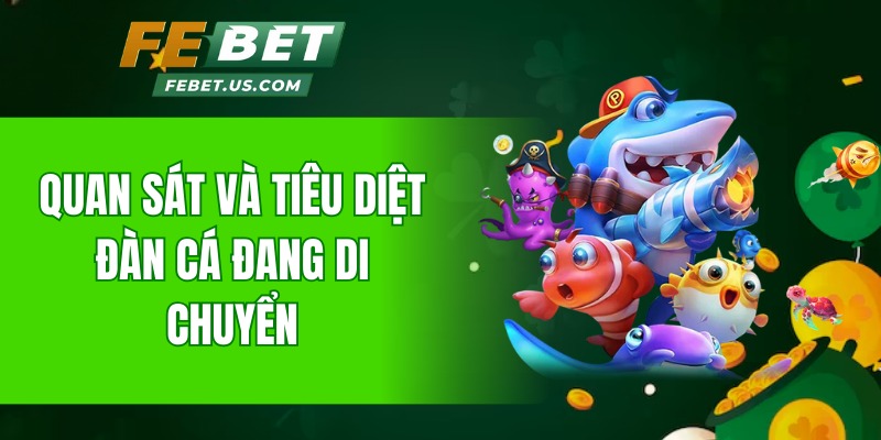 Quan sát và tiêu diệt đàn cá đang di chuyển