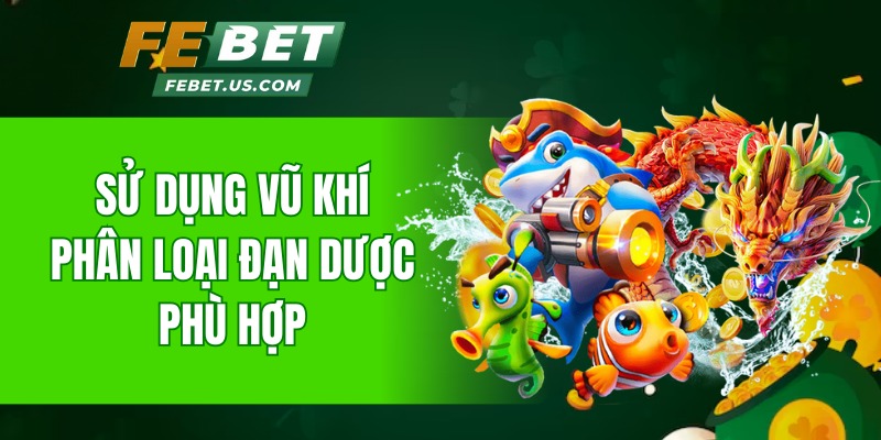 Sử dụng vũ khí, phân loại đạn dược phủ hợp