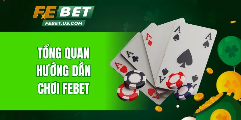 Tổng quan hướng dẫn chơi FeBet